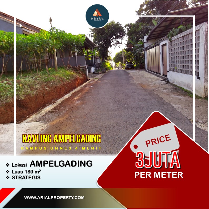 ampelgading pak mul