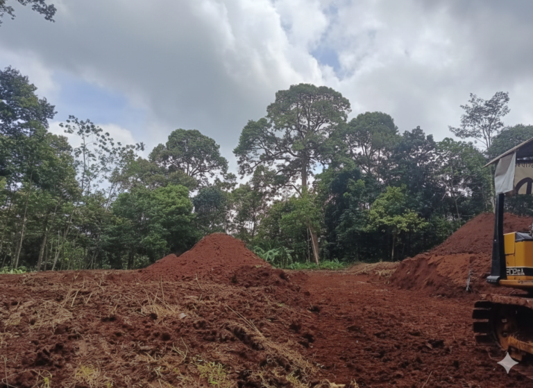 gemini generated image 7ba5vj7ba5vj7ba5