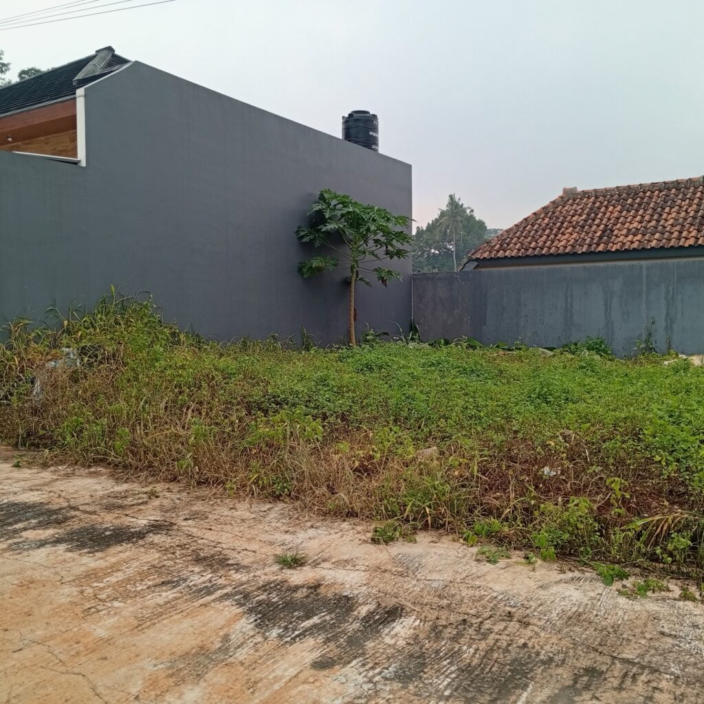 img 20251204 071238 1024x1024