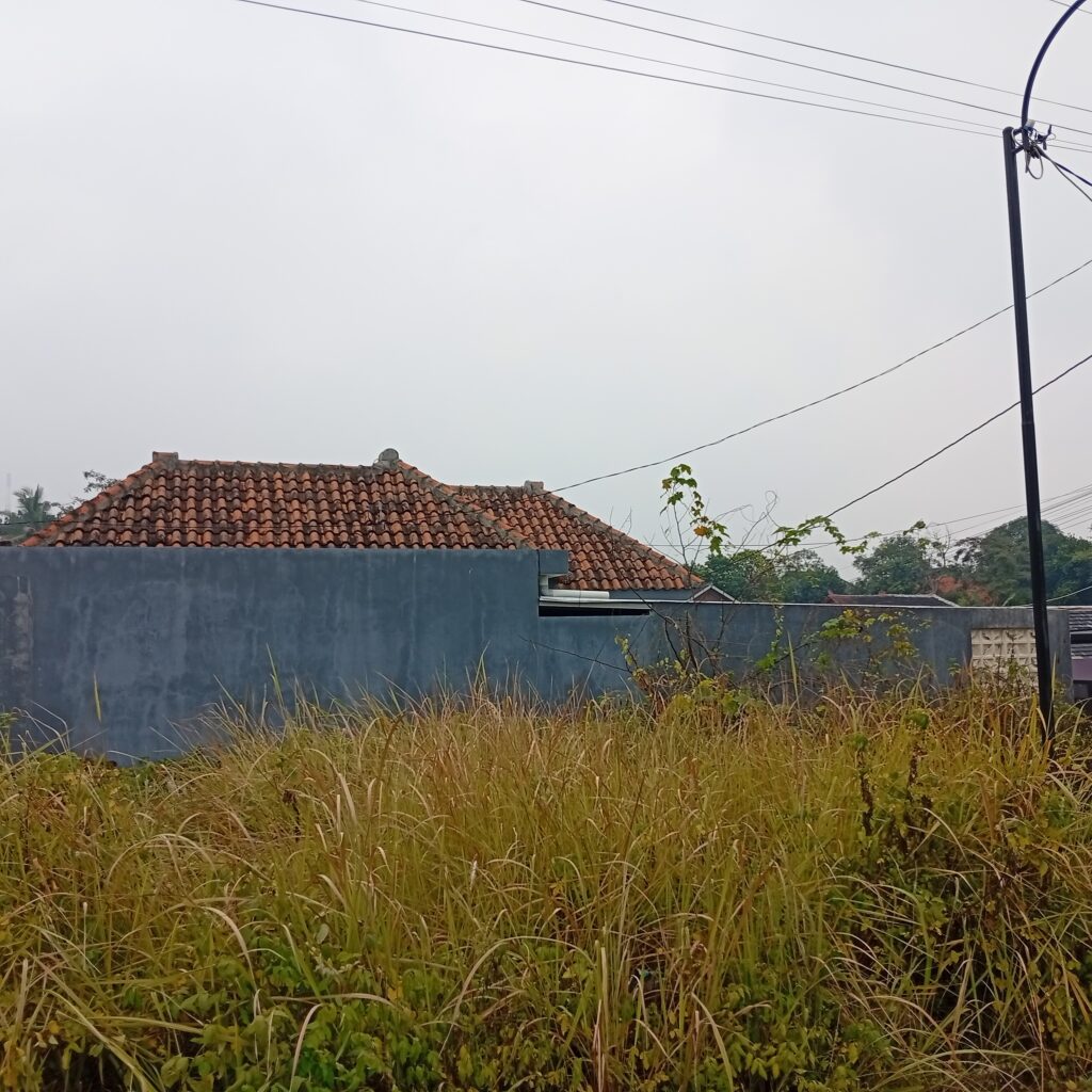 img 20251204 071256 1024x1024