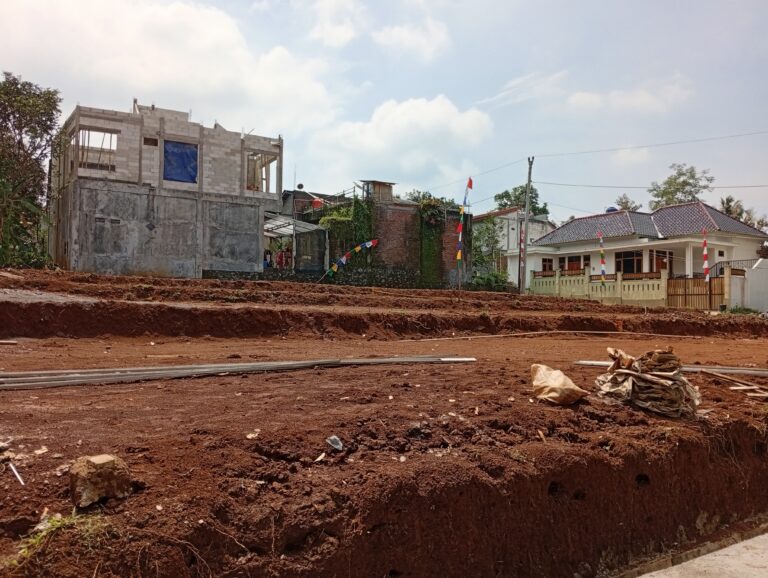 img 20260316 132039 (1)