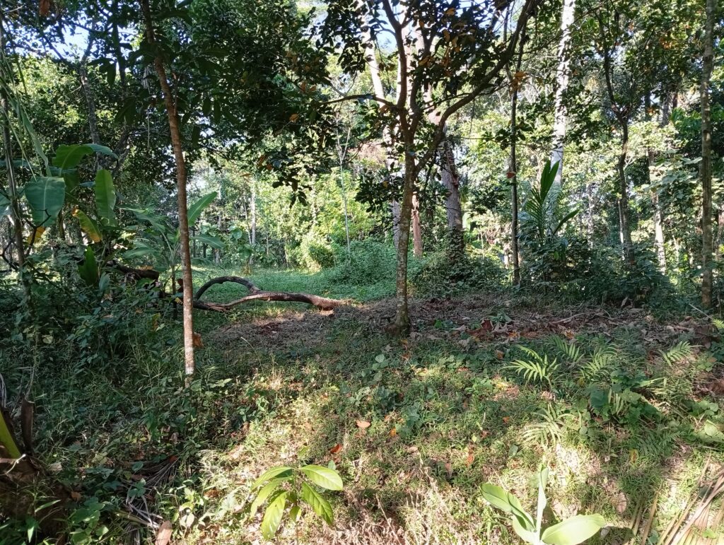 img 20260610 075258