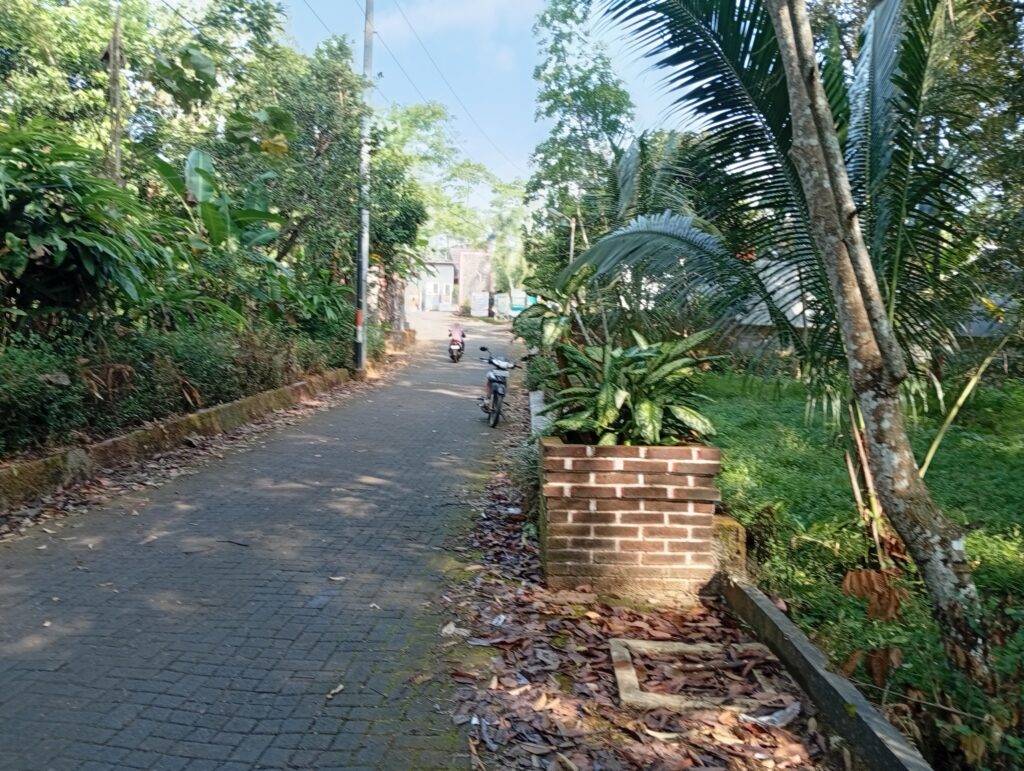 img 20260623 083227