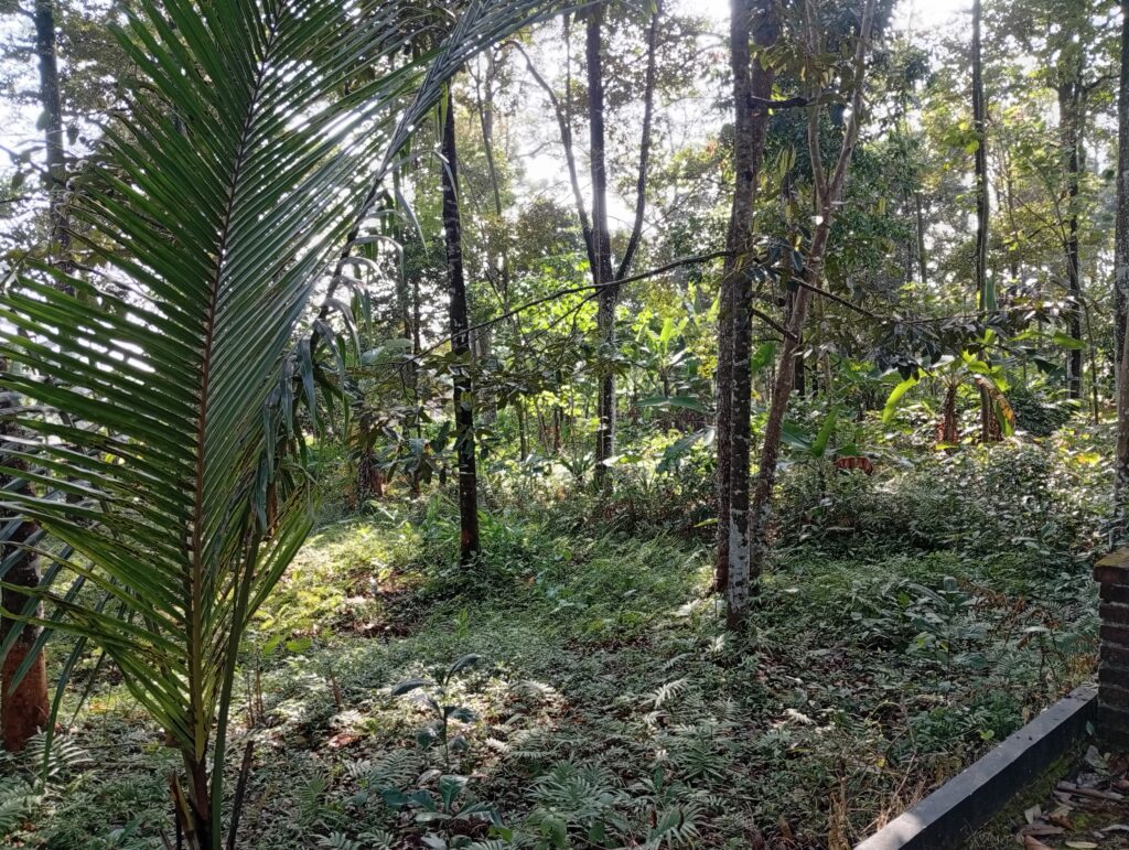 img 20260623 083233