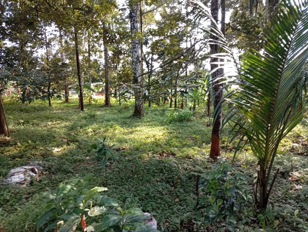 img 20260623 083236