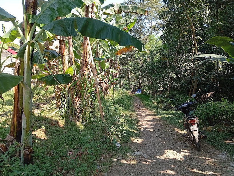 img 20260709 102737