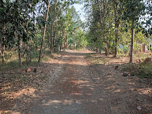 img 20260807 145649