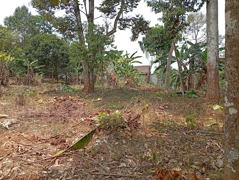 img 20260909 112018