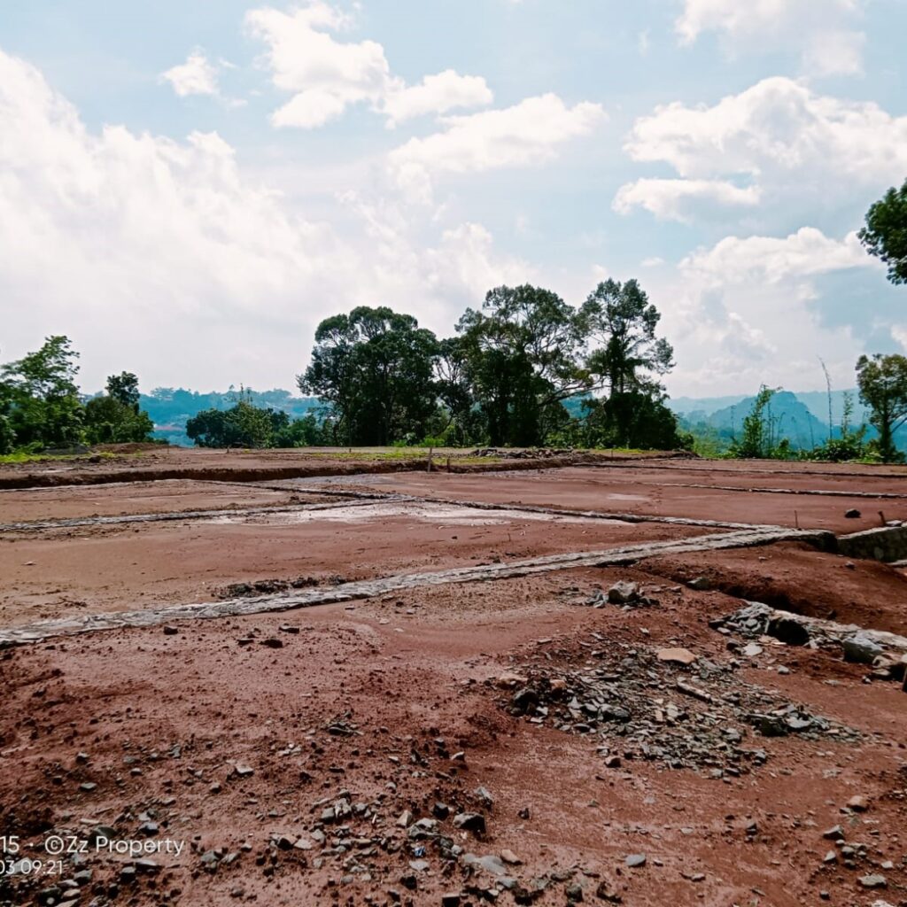 whatsapp image 2025 01 14 at 12.06.48 fcc4b50c