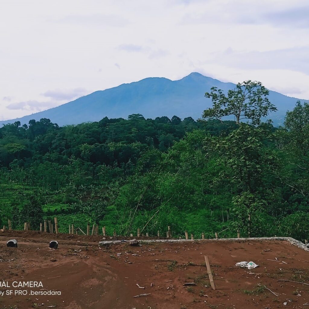 whatsapp image 2025 01 14 at 12.06.49 2cc59ae1