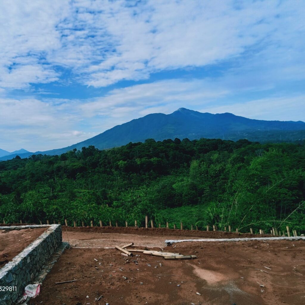 whatsapp image 2025 01 14 at 12.06.52 b0e1e533