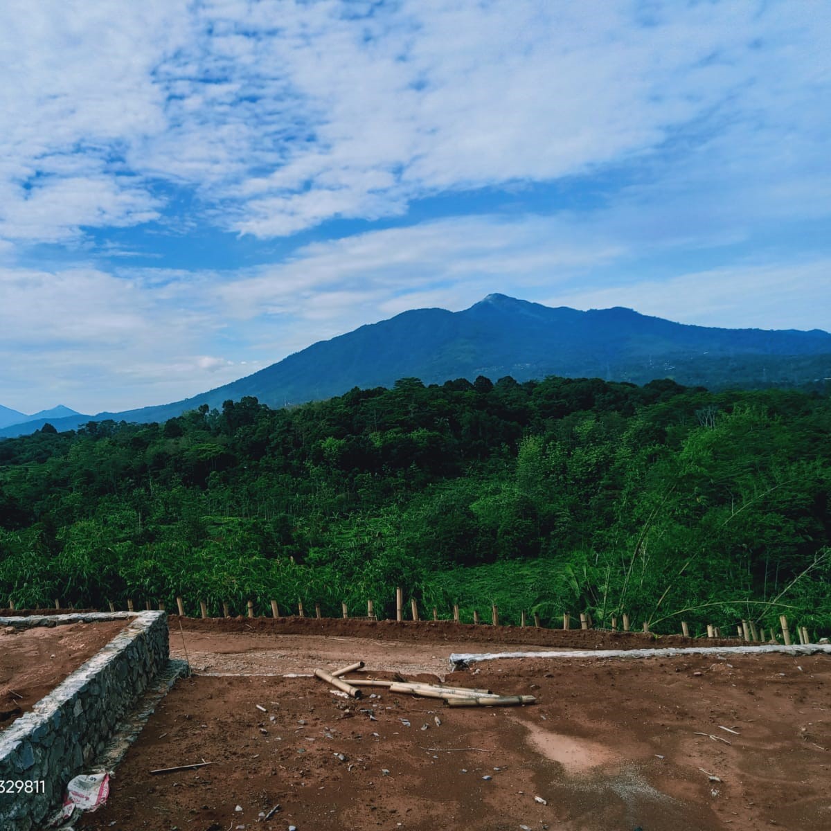 whatsapp image 2025 01 14 at 12.06.52 b0e1e533