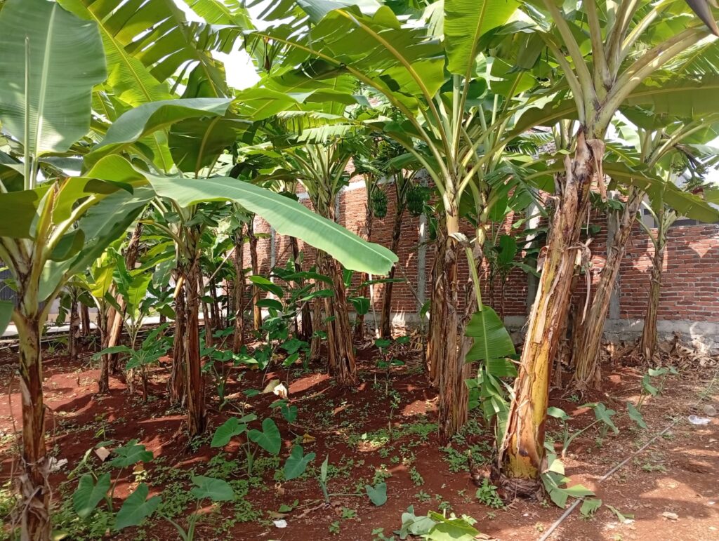 whatsapp image 2026 01 03 at 20.57.13 (1)