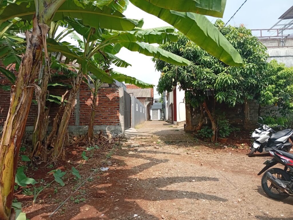 whatsapp image 2026 01 03 at 20.57.13