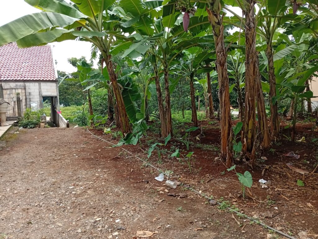 whatsapp image 2026 01 03 at 20.57.14 (1)