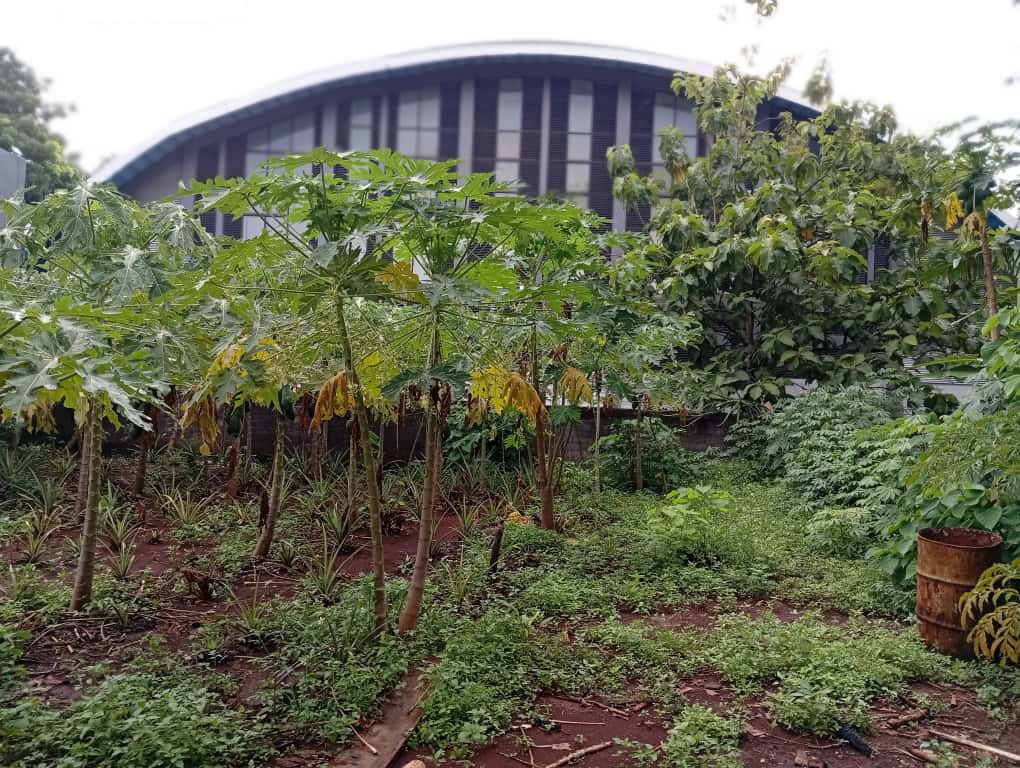 whatsapp image 2026 01 03 at 21.33.25 (1)