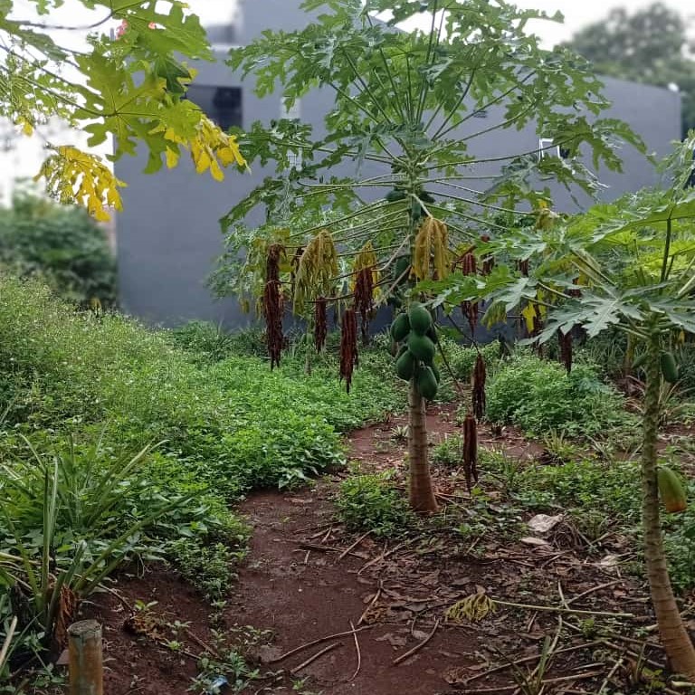 whatsapp image 2026 01 03 at 21.33.25 (2)