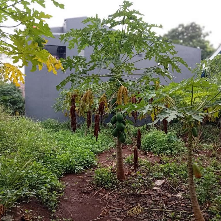 whatsapp image 2026 01 03 at 21.33.26 (1)