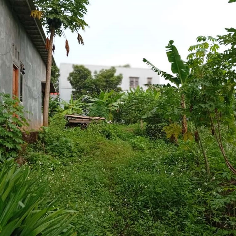 whatsapp image 2026 01 03 at 21.33.26