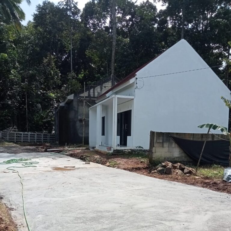 whatsapp image 2026 01 22 at 11.28.43