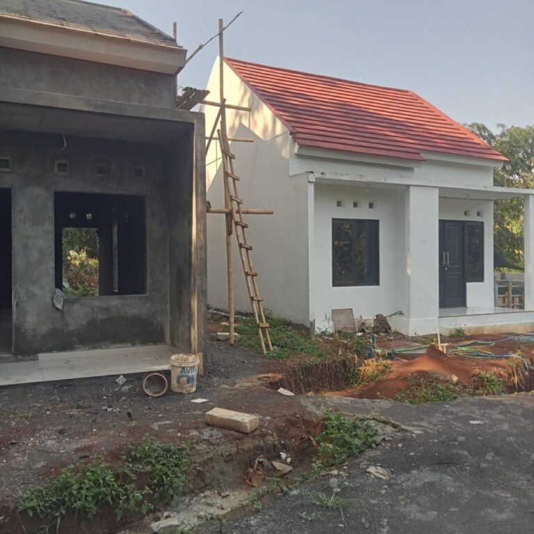 whatsapp image 2026 01 22 at 11.43.16